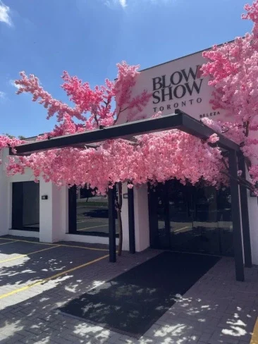 opentapetes instagram blow show